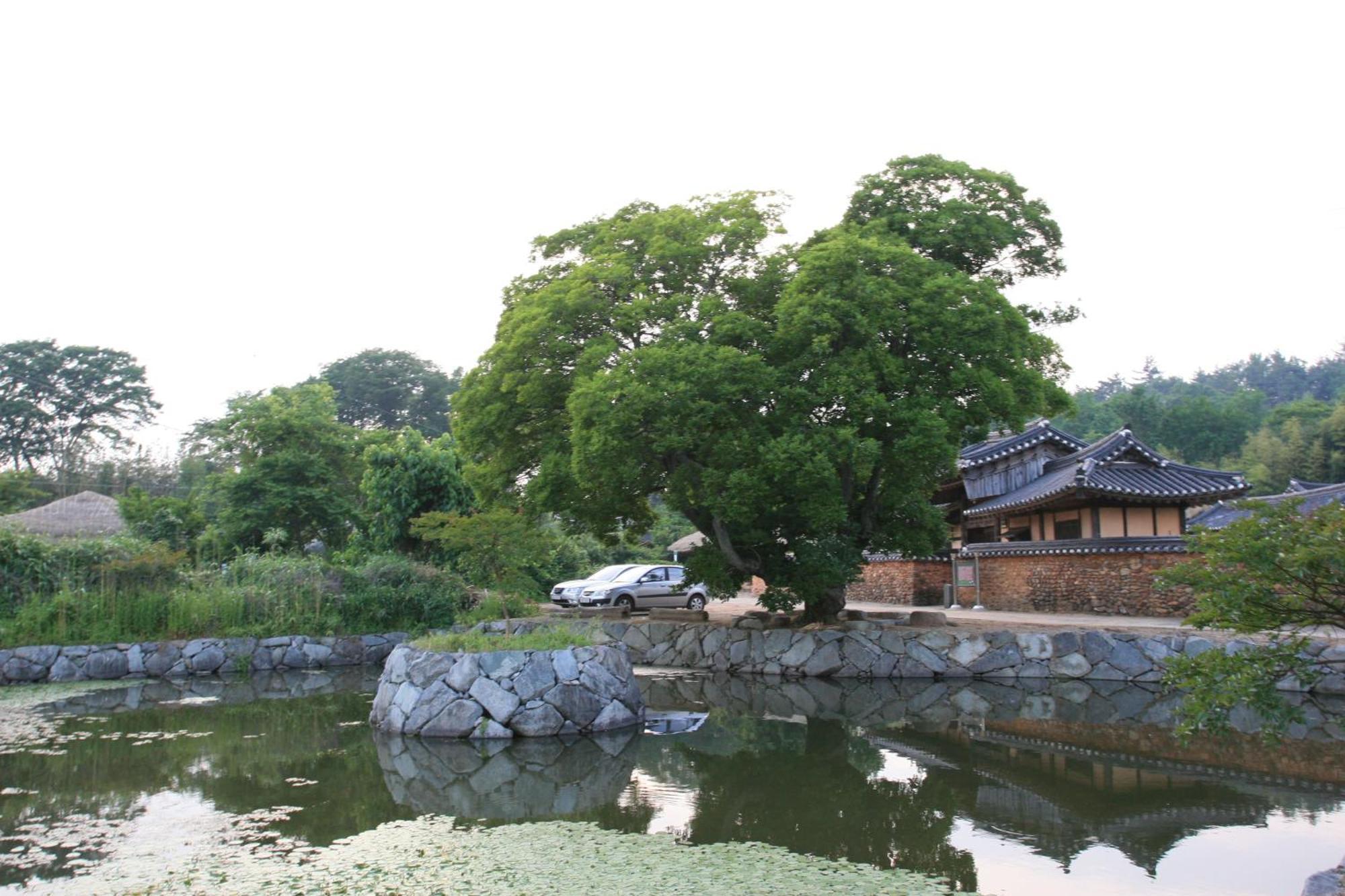 Jinrae Lee'S Traditional House Boseong Dış mekan fotoğraf
